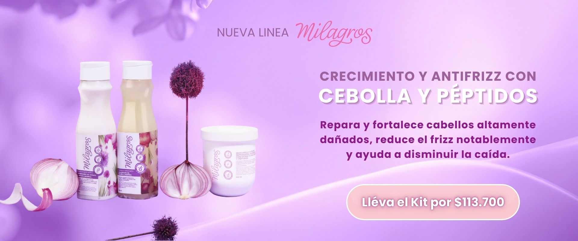 Milagros Banners (7)